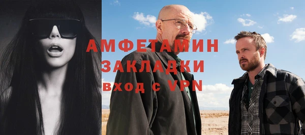 дживик Верхний Тагил