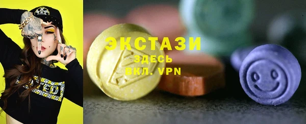 дживик Богородицк
