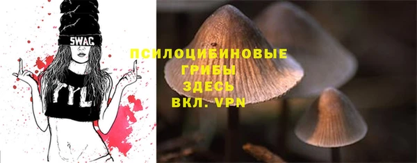 СК Волоколамск