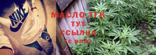 дживик Верхний Тагил