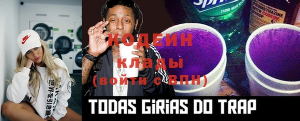 дживик Верхний Тагил