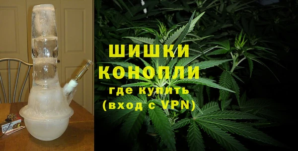 дживик Верхний Тагил