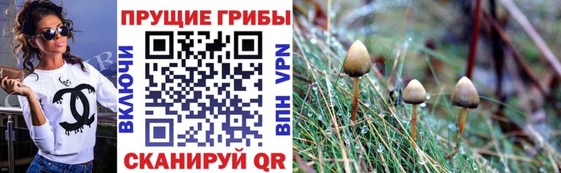 где найти наркотики  Змеиногорск  Галлюциногенные грибы ЛСД 